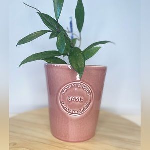 Vintage Pottery Portugal Ceramic Pink Plant Pot Basil Ceramica da Borralheira